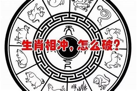 丙子年五行|解读丙子年：命局详解与运势分析